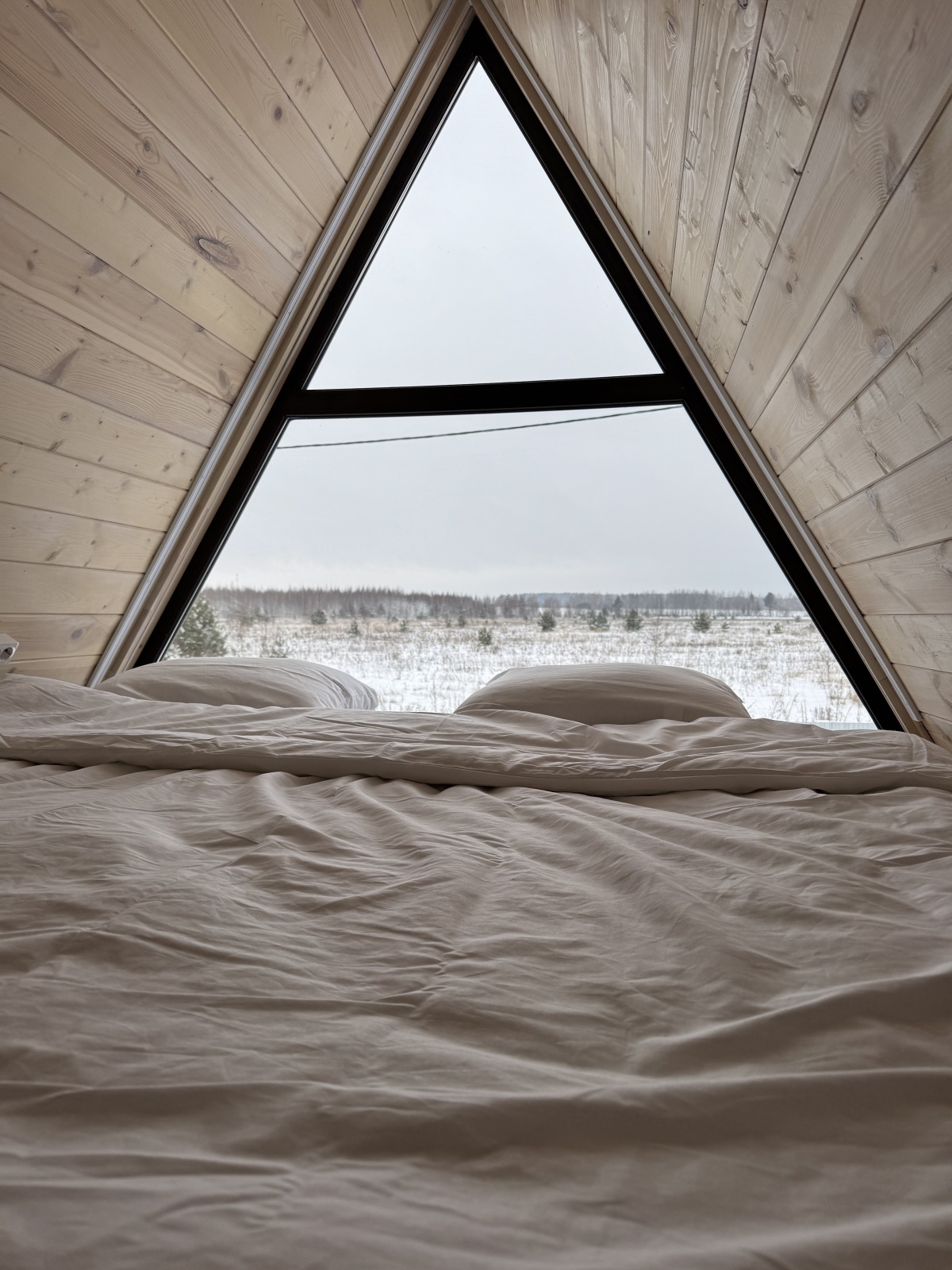 Дом в стиле A-frame 1